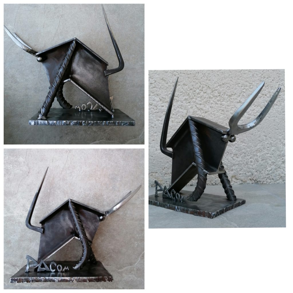 Image décrivant l'exposant : PIERRICK BUISSON PACOM