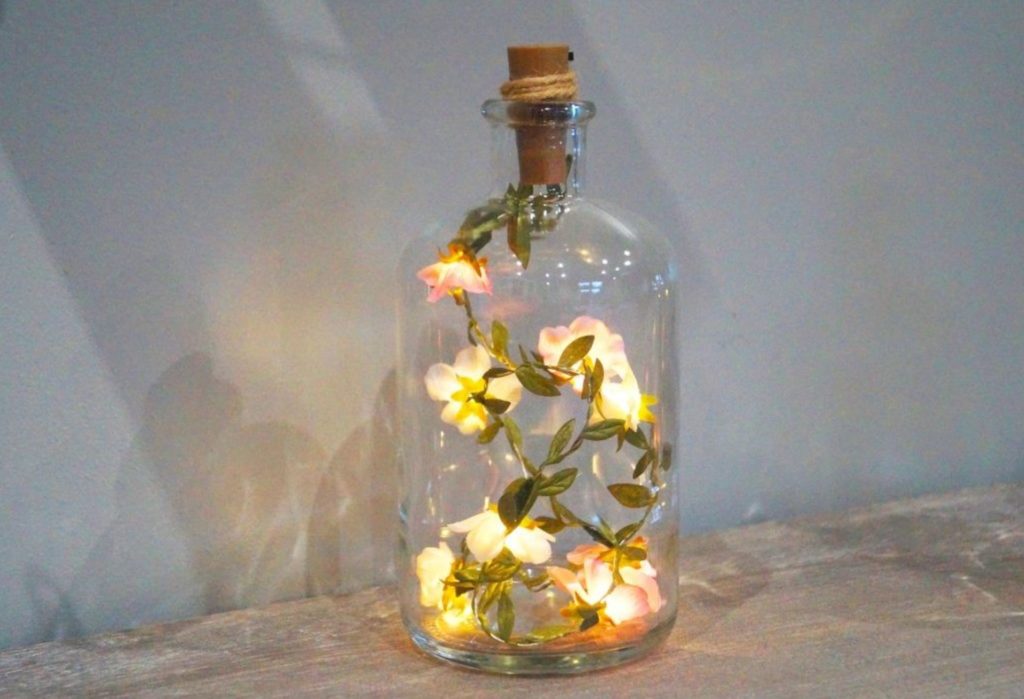 Image décrivant l'exposant : LOUPIOTES ET PAMPILLES